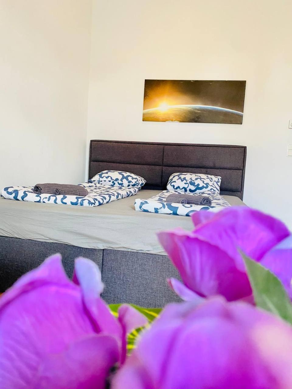 Cozy Rooms In Brigittenau Area Mm23 Wien Ngoại thất bức ảnh